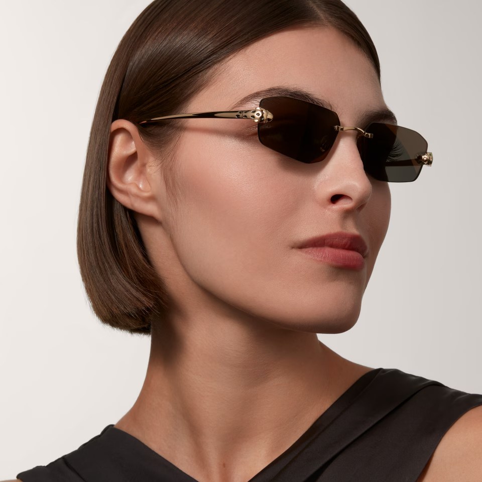 Panthère de Cartier worn, rimless with the panther at the temple